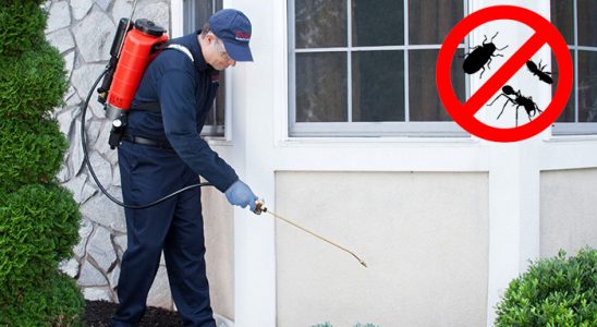 Suşehri Karınca İlaçlama böcek ilaçlama ve haşere kontrolü — ilaclama-tr.com
